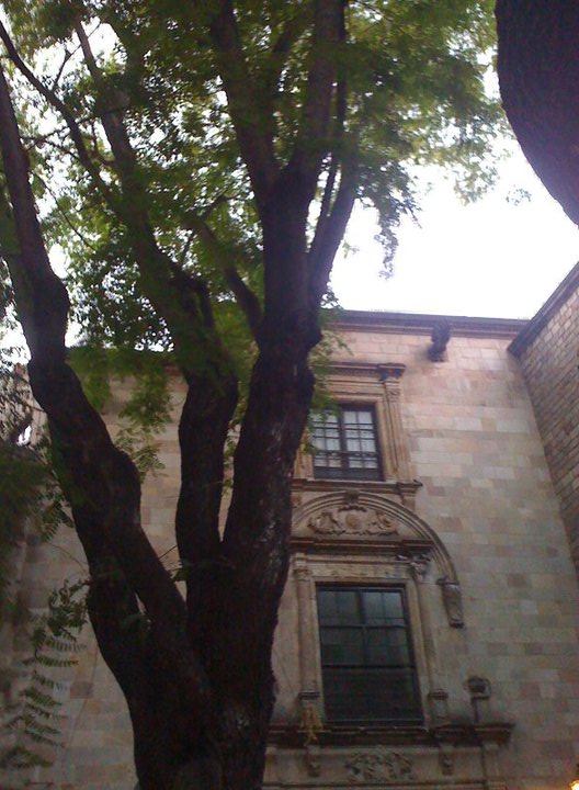 39760_1368466248622_5874027_n