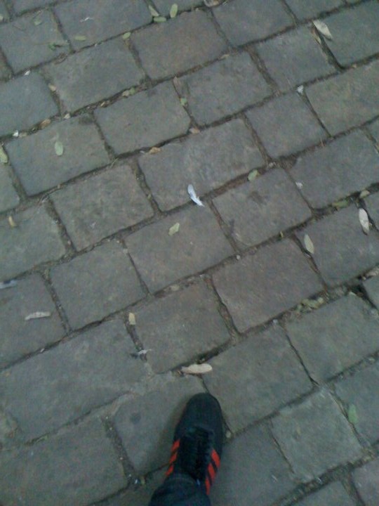 40596_1368466168620_2012392_n