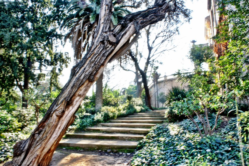 Foto 14-01-13 17 38 16