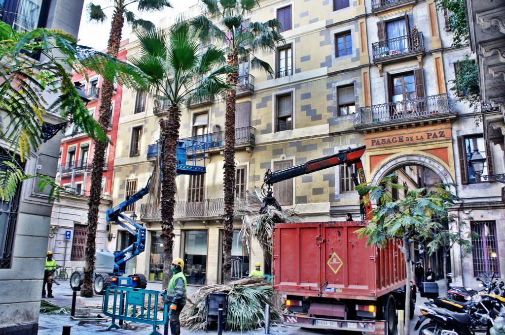 Foto 14-01-13 17 43 46