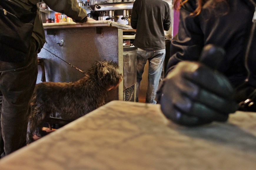 Foto 14-01-13 17 44 50