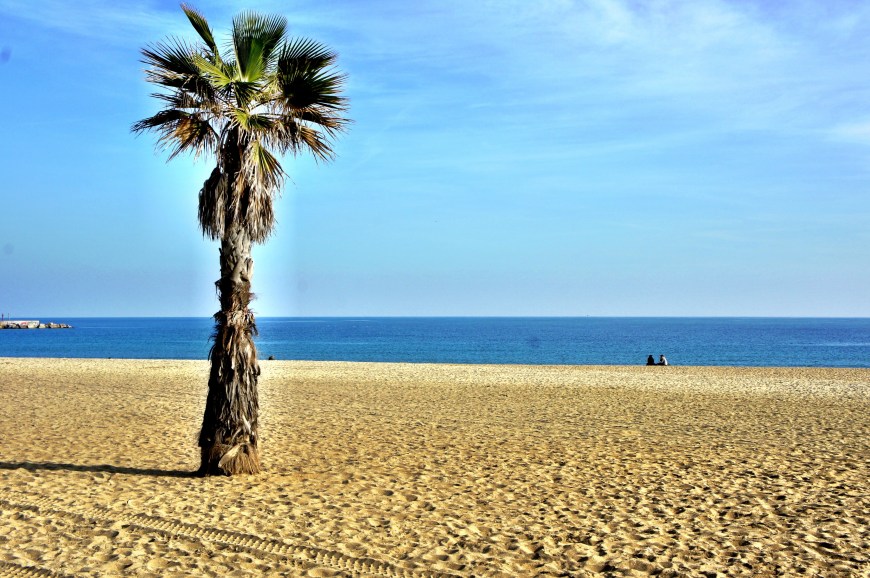 Foto 14-01-13 18 09 43