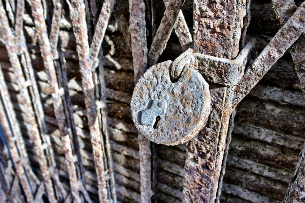 Foto 14-01-13 18 11 09