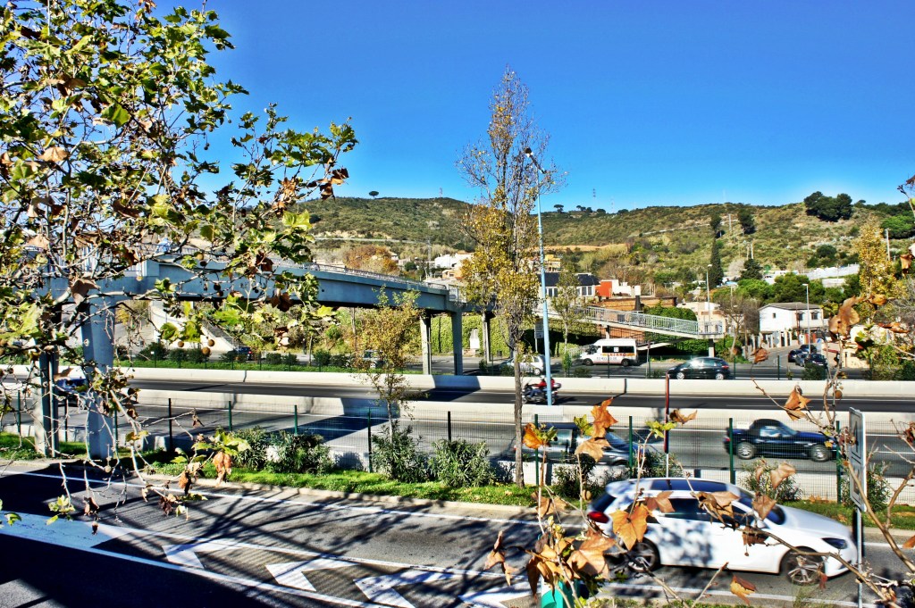 Foto 30-12-12 12 55 29