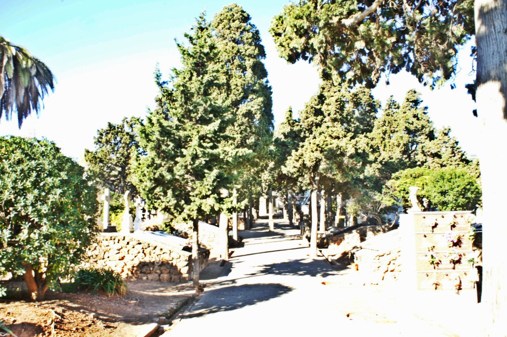 Foto 30-12-12 13 06 23