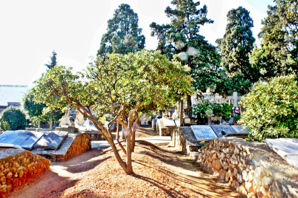 Foto 30-12-12 13 14 20