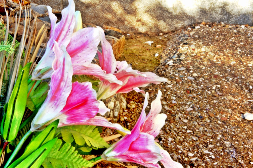 Foto 30-12-12 13 15 56