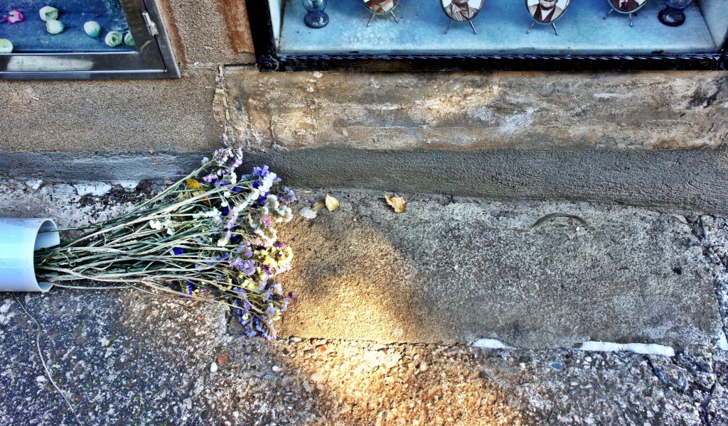 Foto 30-12-12 13 17 15