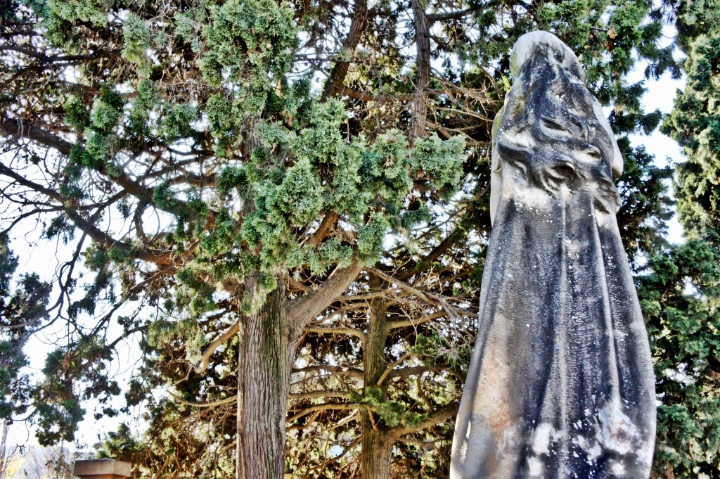 Foto 30-12-12 13 19 09