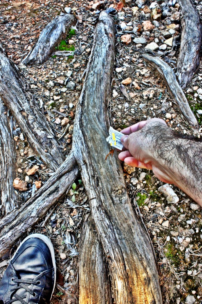 Foto 30-12-12 13 20 08