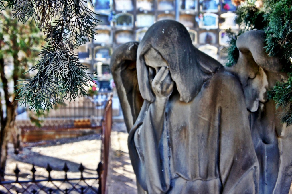 Foto 30-12-12 13 22 25