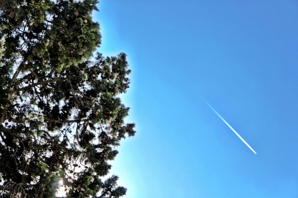 Foto 30-12-12 13 28 46