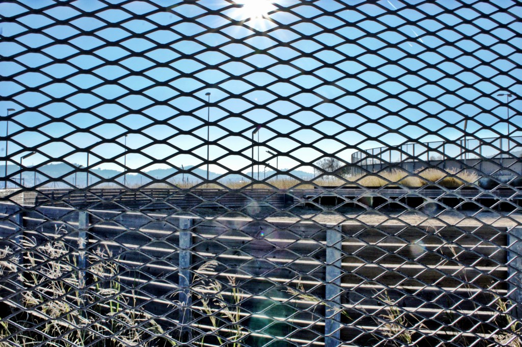 Foto 30-12-12 17 16 35