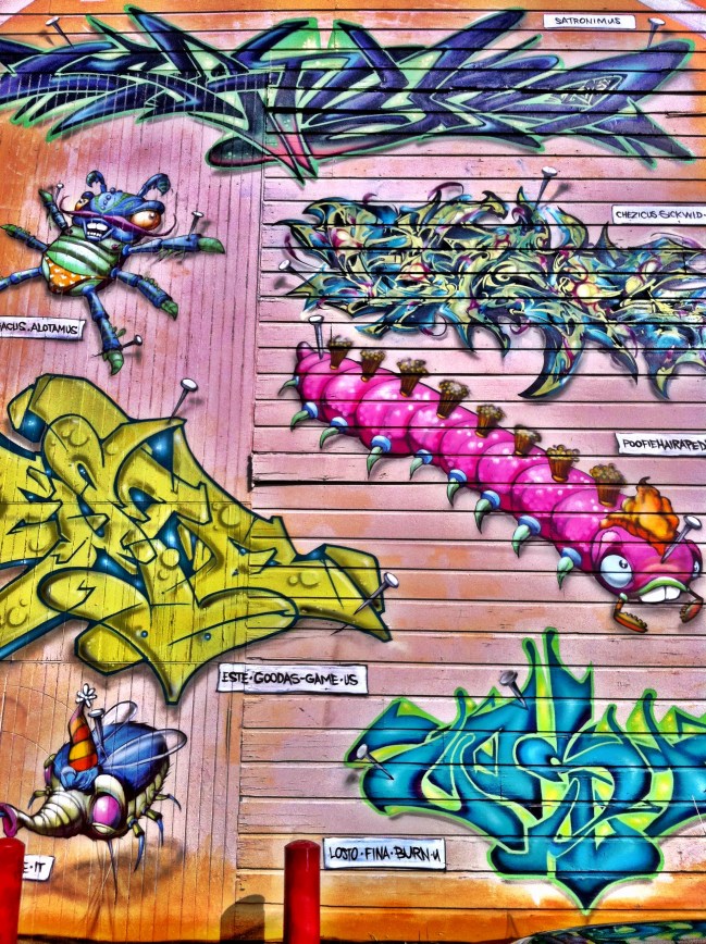 Foto 12-02-13 12 13 21