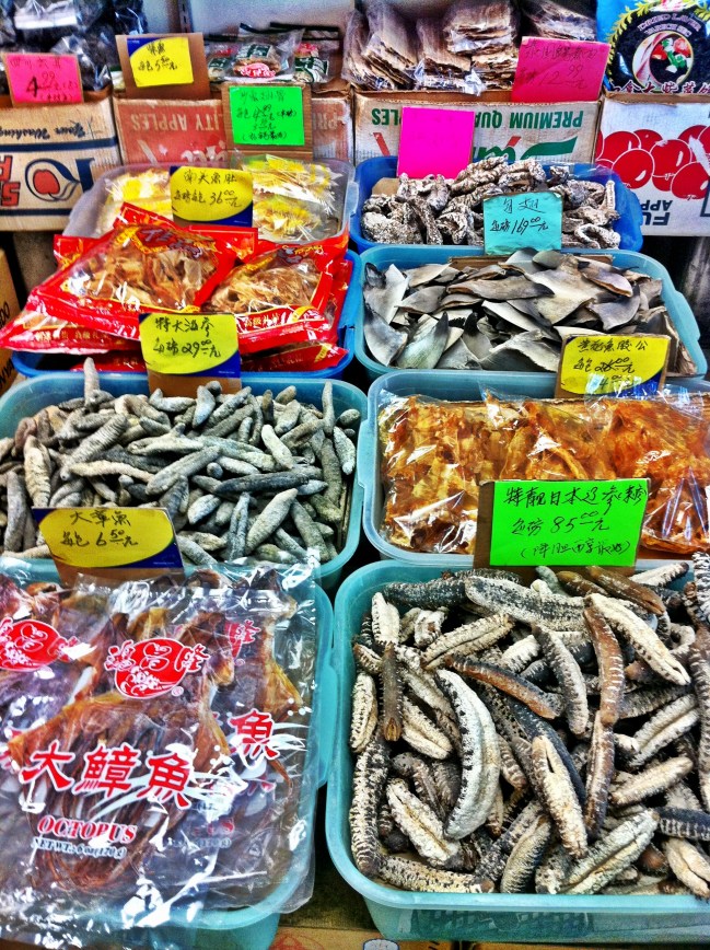 Foto 12-02-13 12 15 55